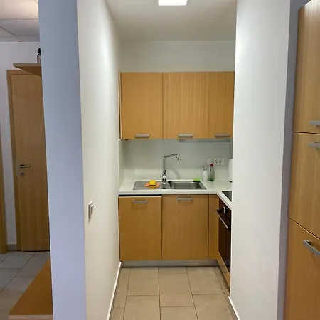 Casa Brut Premium Free Parking Apartment Maribor