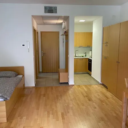Apartment Casa Brut Premium Free Parking Maribor